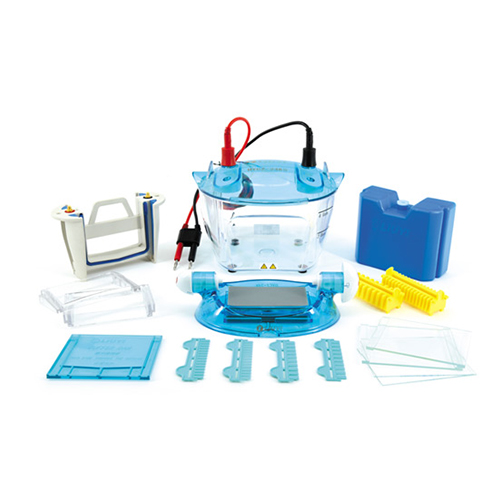 北京六一DYCZ-24K雙板垂直電泳儀（基礎款）