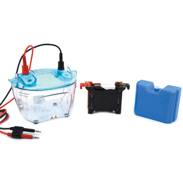 北京六一DYCZ-40K轉印電泳儀